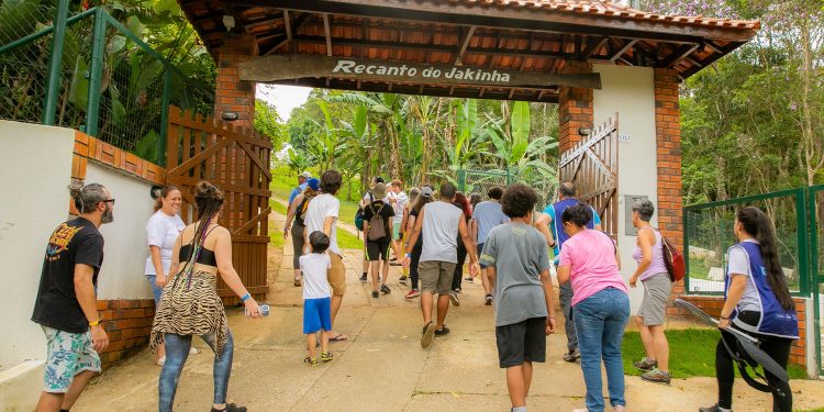 Vai de Roteiro: programa-se para descobrir São Paulo acompanhado de um guia de turismo
