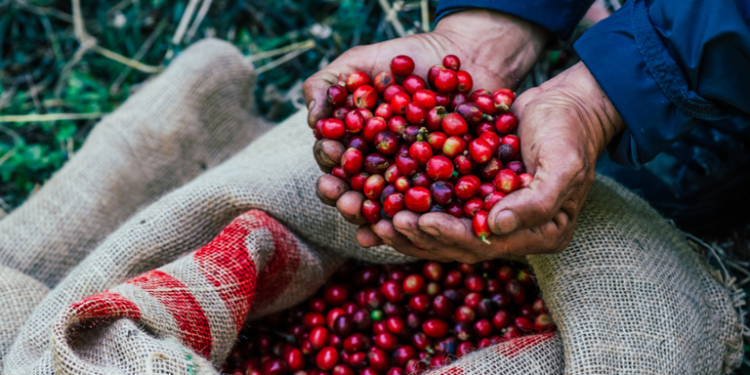 Em outubro, exportações do agro brasileiro batem recorde e alcançam US$ 14,27 bilhões