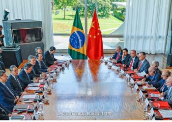 Agro brasileiro conquista quatro novos mercados na China