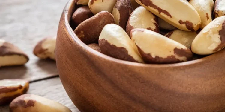 me de outros 3 titulos O ChatGPT disse: ChatGPT Castanha-do-Pará: Um Aliado Natural Contra Inflamações e Excesso de Peso