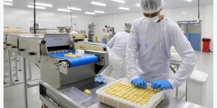 Prefeitura de São Paulo impulsiona exportação de produtos diversos de mais de 300 empresas