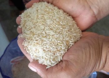 Denúncia: Comerciantes estão vendendo pacote de arroz de 5kg do tipo ‘5’ como se fosse do tipo ‘1’