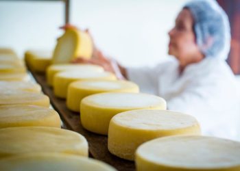 Modos de Fazer o Queijo Minas Artesanal se tornam o 7° Patrimônio Cultural Imaterial da Humanidade do Brasil