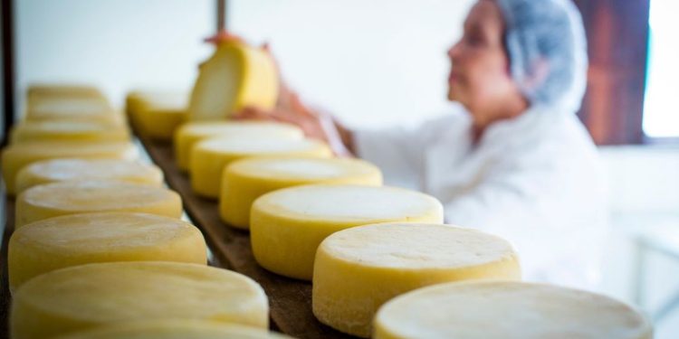 Modos de Fazer o Queijo Minas Artesanal se tornam o 7° Patrimônio Cultural Imaterial da Humanidade do Brasil