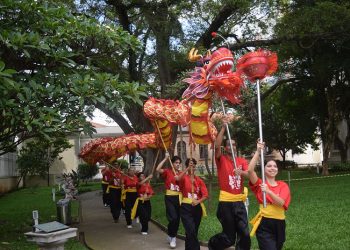 Ano Novo Chinês, Viagem Gastronômica, Dia dos Quadrinhos e nova exposição são destaques na Agenda Viva SP
