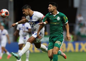Palmeiras empata com o Água Santa e segue fora da zona de classificação