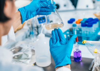 Cientistas da UFRN transformam ÁGUA SUJA em POTÁVEL com produto da CASTANHOLA!