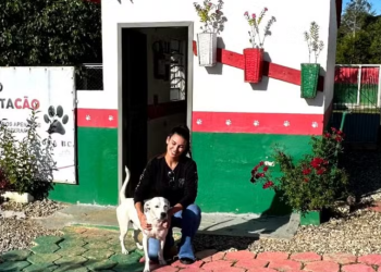 Cães ABANDONADOS e Detentos se RECUPERAM JUNTOS em projeto INOVADOR de SC!