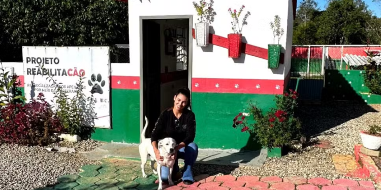 Cães ABANDONADOS e Detentos se RECUPERAM JUNTOS em projeto INOVADOR de SC!
