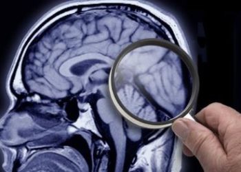CÉREBRO BLINDADO! Cientistas descobrem MOLÉCULA que PROTEGE contra perda de memória!
