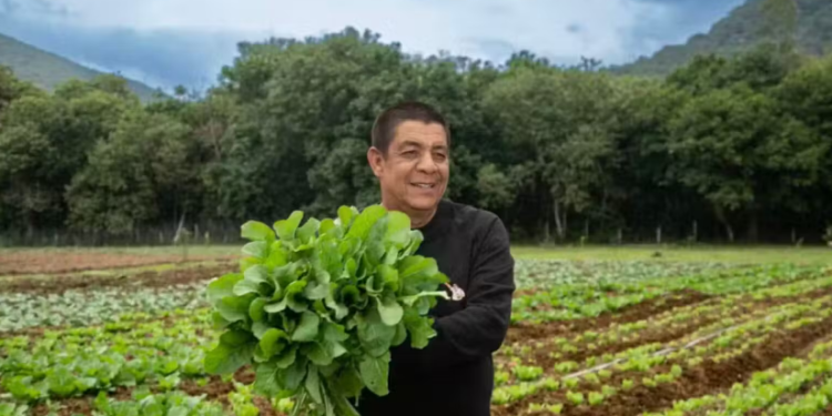 Zeca Pagodinho CEDE terreno para HORTA GIGANTE e gera COMIDA e EMPREGO em Xerém!