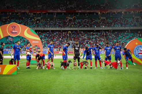 FUTEBOL e SOLIDARIEDADE: Jogadores do Bahia ENTRAM em campo com CÃES para incentivar adoção!