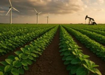 Especialista do AGRO diz que Brasil precisa se preparar para um mundo sem REGRAS e com MUITA INCERTEZA!