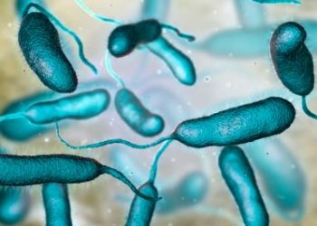 Casos de “BACTÉRIAS CARNÍVORAS” EXPLODEM nos EUA e cientistas culpam MUDANÇAS CLIMÁTICAS!