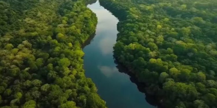 TESOURO INVISÍVEL! Brasil descobre MAIOR RESERVA de água do mundo, capaz de abastecer o planeta por 250 ANOS!