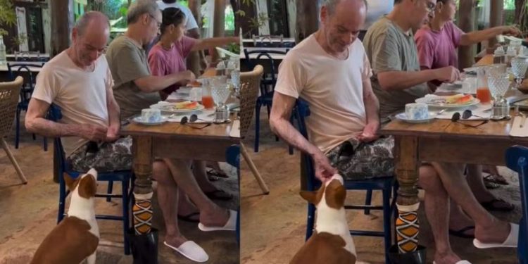 GESTO de AMOR: Ney Matogrosso alimenta cachorro em restaurante de Salvador e vídeo viraliza!