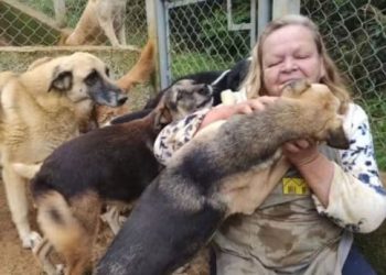 CORRENTE do BEM: Protetora de animais morre e ativistas se mobilizam para ALIMENTAR 400 CÃES em SP!