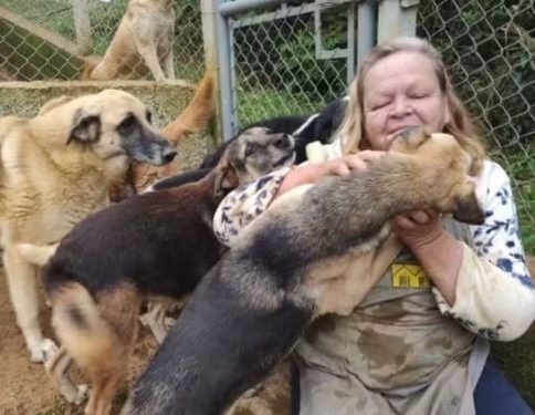CORRENTE do BEM: Protetora de animais morre e ativistas se mobilizam para ALIMENTAR 400 CÃES em SP!