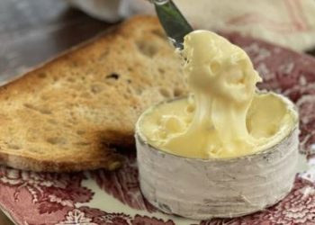 ORGULHO BRASILEIRO! Queijo de Santa Catarina é eleito um dos 100 MELHORES do MUNDO!