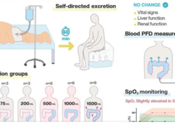 RESPIRAÇÃO PELO RETO? Estudo japonês testa a segurança de ventilação de emergência pelo ânus em humanos!