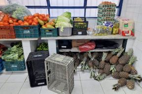 ESCÂNDALO na MERENDA! Plástico na carne, comida VENCIDA e almoço às 8h45 chocam fiscalização em escolas de SP