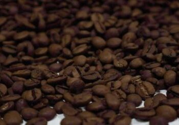 CAFÉ COM COGUMELO PROIBIDO! Anvisa suspende venda de pó de café que prometia ‘controlar insulina’ por ingrediente não avaliado!