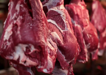 FOME de CARNE: EUA aumentam importação, apesar do tarifaço de Trump! Wesley Batista (JBS) diz que preço está no MÁXIMO!