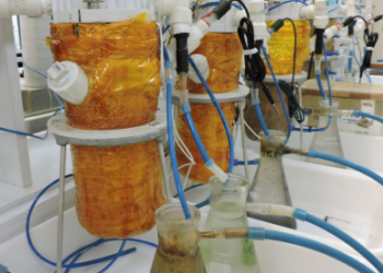 ENERGIA AZUL! Pesquisadores da Unesp criam sistema que gera ELETRICIDADE com BACTÉRIAS marinhas e captura CO₂!