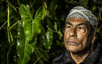 VOZ INDÍGENA na ARTE: Ailton Krenak exige que o discurso da SUSTENTABILIDADE seja virado ‘ao avesso’ em exposição no Rio!