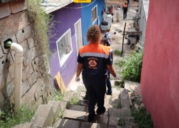 Dia D contra a Dengue: São Paulo em alerta total! 🚨🦟Mobilização vai rolar neste sábado (8)