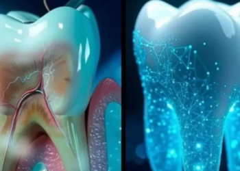 DENTE NOVO! Japão inicia testes em humanos de medicamento que faz nascer NOVOS DENTES e promete aposentar dentaduras e implantes!