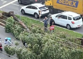 CAOS em SÃO PAULO! Mais de 2,2 MILHÕES de imóveis sem luz e falta de água após ventos de 100 km/h!