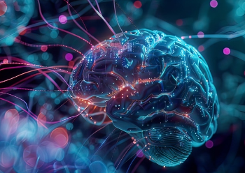 QUÍMICA DA FELICIDADE: Neurociência revela que o bem-estar é uma habilidade treinável, não sorte