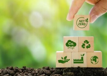 O “RESET” DO PLANETA: Cientistas pedem reinicialização urgente do conceito de sustentabilidade