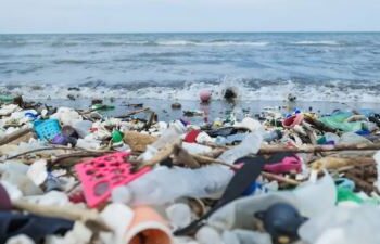 ALERTA SANITÁRIO: Impacto dos plásticos na saúde humana deve dobrar até 2040