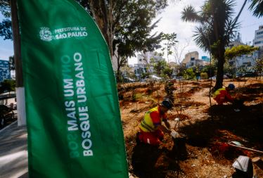 DO CRACK AO CERRADO: Prefeitura de SP cerca “minicracolândia” no Centro para criar o Bosque Pintassilgo