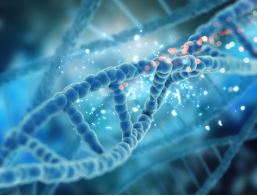 REVOLUÇÃO GENÉTICA: Google lança AlphaGenome para decifrar a influência do DNA nos processos biológicos