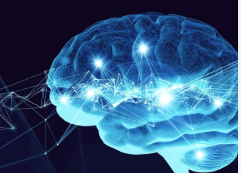 CÉREBRO NO INTESTINO: Bactérias podem afetar a memória e ter ligação direta com o Alzheimer