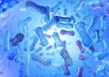 BIODIVERSIDADE INVISÍVEL: Cientistas criam “Arca de Noé” para salvar os micróbios da extinção