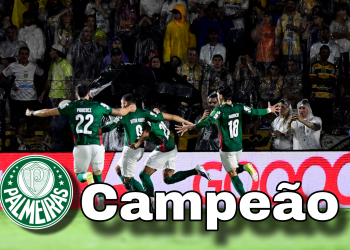 Palmeiras vence o Novorizontino e conquista o Paulistão de 2026
