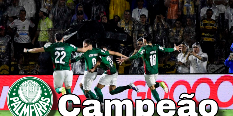 Palmeiras vence o Novorizontino e conquista o Paulistão de 2026