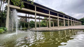 EMBATE NO IBIRAPUERA: Concessionária propõe academia em reforma de R$ 35 milhões de serraria histórica