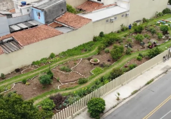 OÁSIS URBANO: Horta comunitária em São Bernardo combate a fome e o calor extremo no ABC