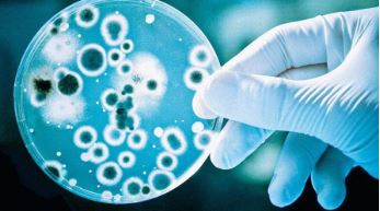 ALERTA SANITÁRIO: Superbactéria MRSA avança fora dos hospitais em São Paulo