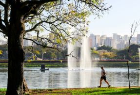 IBIRAPUERA SOB TENSÃO: O dilema entre a falta de segurança e a privatização do parque mais amado de SP