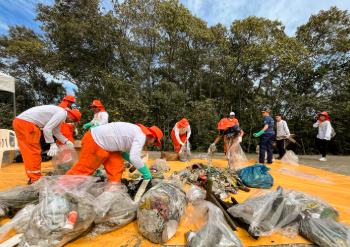 SANTOS SUSTENTÁVEL: Ecobarreira e mutirão retiram quase 2 toneladas de lixo de manguezal