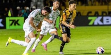 Paulistão 2026 em Jogo: Novorizontino Quer Fazer História, Palmeiras Quer Confirmar sua Hegemonia