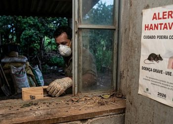 SILENCIOSO E LETAL: HANTAVÍRUS VOLTA A ASSUSTAR O BRASIL.
