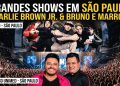 GIGANTES DA MÚSICA ASSALTAM SEU BOLSO NO FIM DE SEMANA.