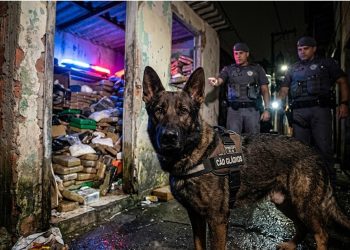 FALHOU O ESCONDERIJO: CÃO DA PM ESTOURA DEPÓSITO DE DROGAS.